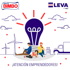 Bimbo_Startups
